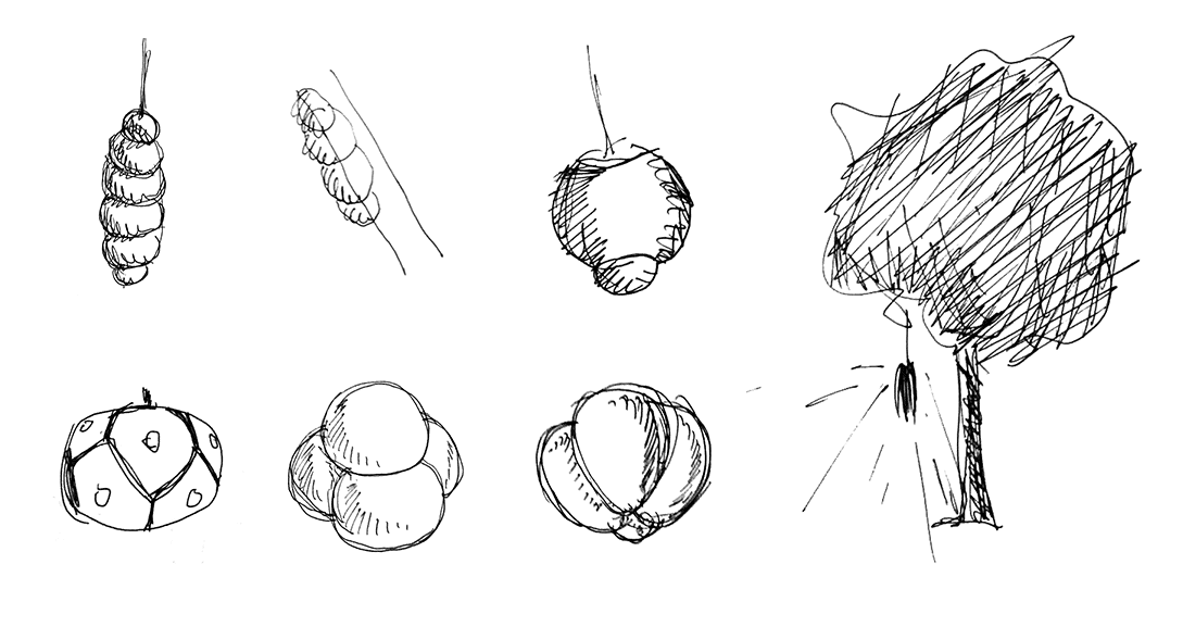Some sketches of shape researches 